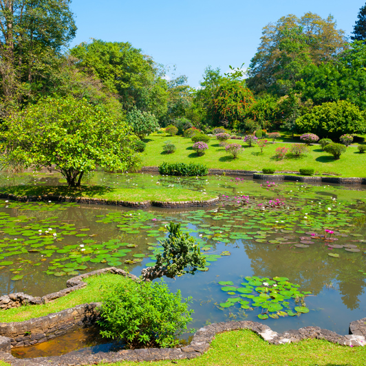 sri lanka - kandy_botanisk have_02