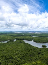 brasilien - amazonas_01