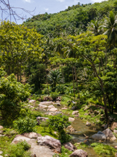 thailand - Khanom_jungle_01