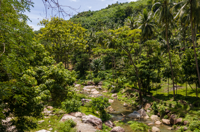 thailand - Khanom_jungle_01