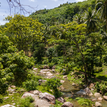 thailand - Khanom_jungle_01