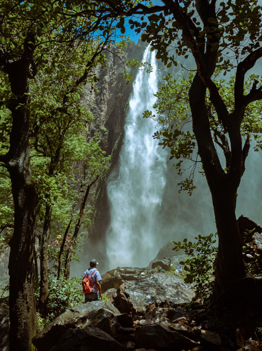 Shutterstock 1788074405