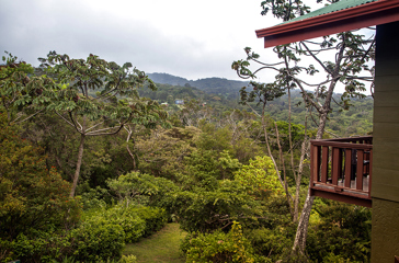 costa rica - monteverde - cala lodge hotel_06