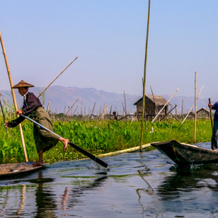 burma - inle lake_fisker_20