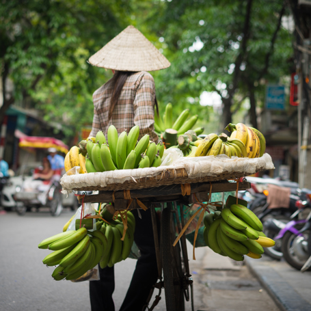 Vietnam - hanoi_befolkning_kvinde_gadesaelger_02