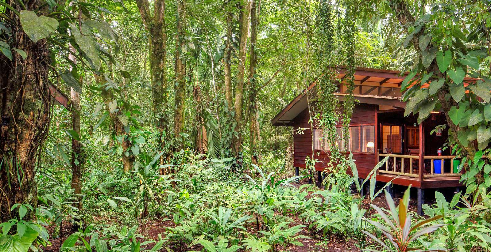 Evergreen lodge Hero