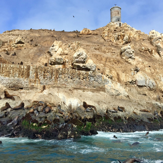 peru - Palomino_Islands_02