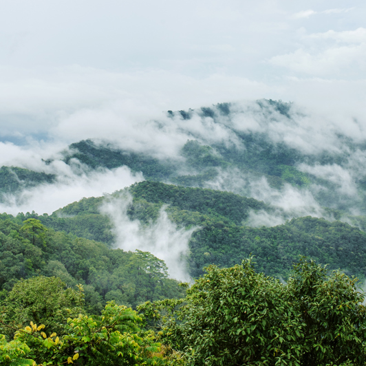 Thaton Doi Pha Hom Pok National Park Landskab 755365984