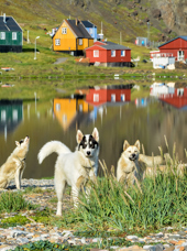 ilulissat_by_sommer_05
