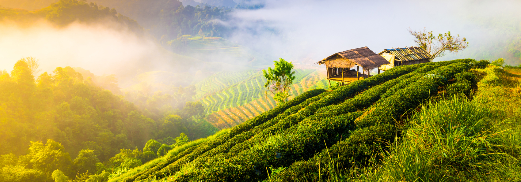 thailand - chiang mai_doi inthanon_udsigt_04
