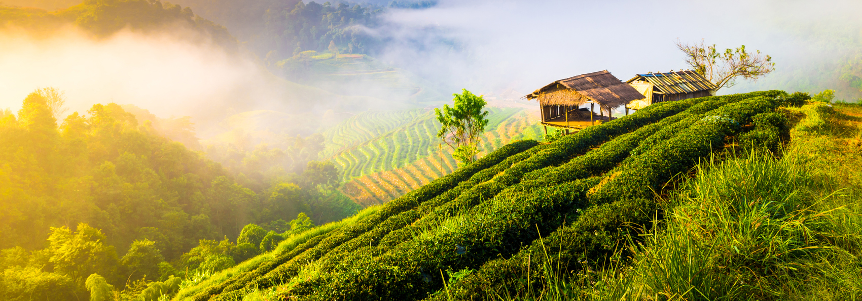 thailand - chiang mai_doi inthanon_udsigt_04