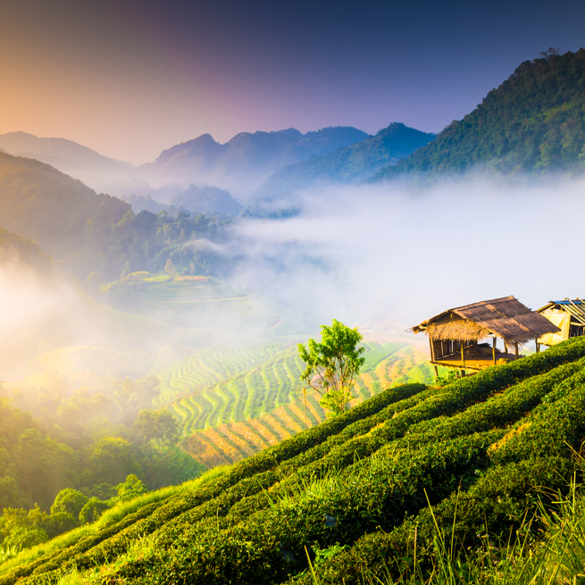 thailand - chiang mai_doi inthanon_udsigt_04