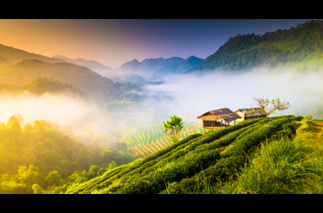thailand - chiang mai_doi inthanon_udsigt_04