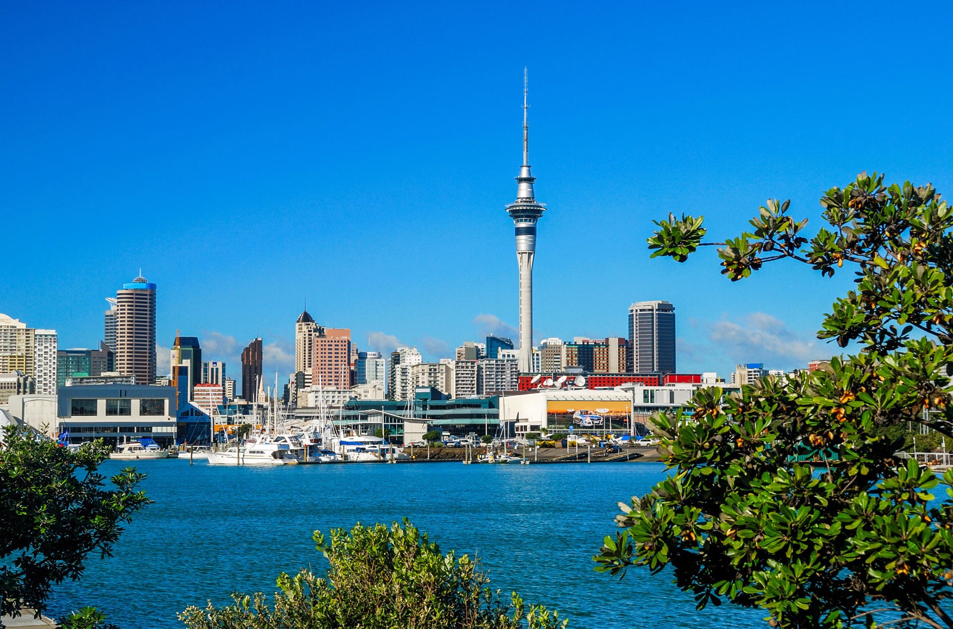 new zealand - auckland_skyline_07