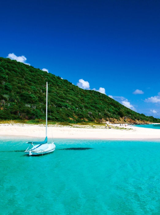 dansk vestindien - buck island_strand_05
