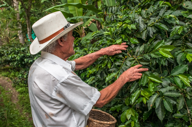 colombia - columbia_kaffe_01