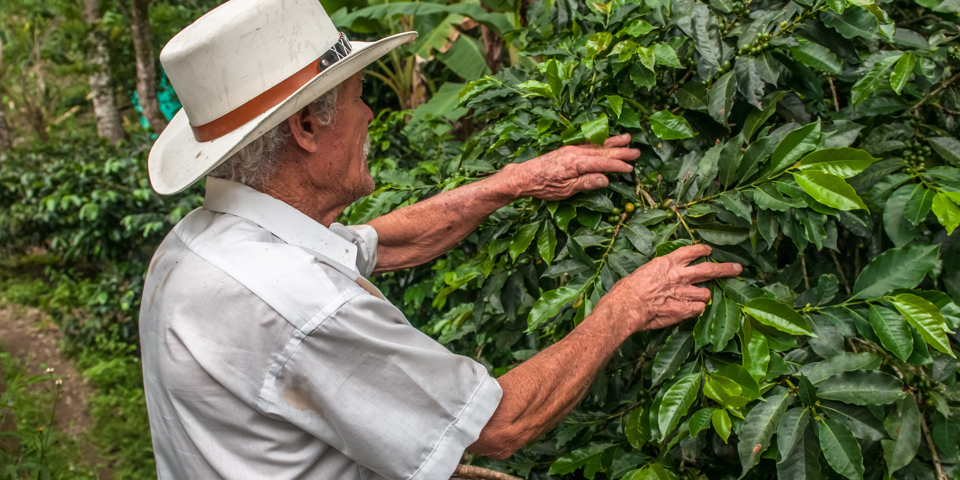 colombia - columbia_kaffe_01