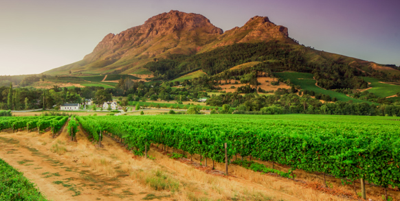 Hermanus Helderberg Mountains