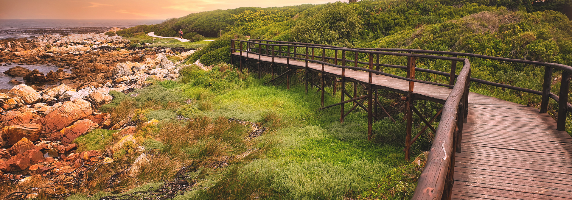 Hermanus Cliff Path