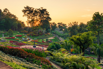 Thaton Doi Tung Gardens 01 1542460415