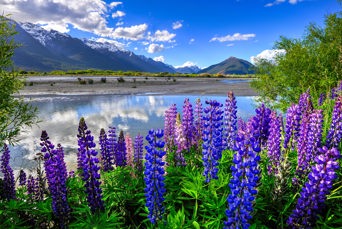 Vi har overvældende naturoplevelser ved Mount Cook...