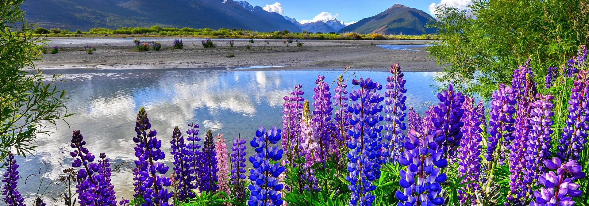 new zealand - mount cook_pukaki lake_blomster_02