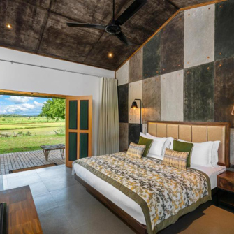 Wild Culture Deluxe King Room 01