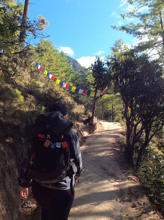 Nepal Vandring 03