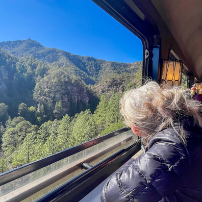 Mexico Kobberkloeften Chepe Express Togrejse (16)