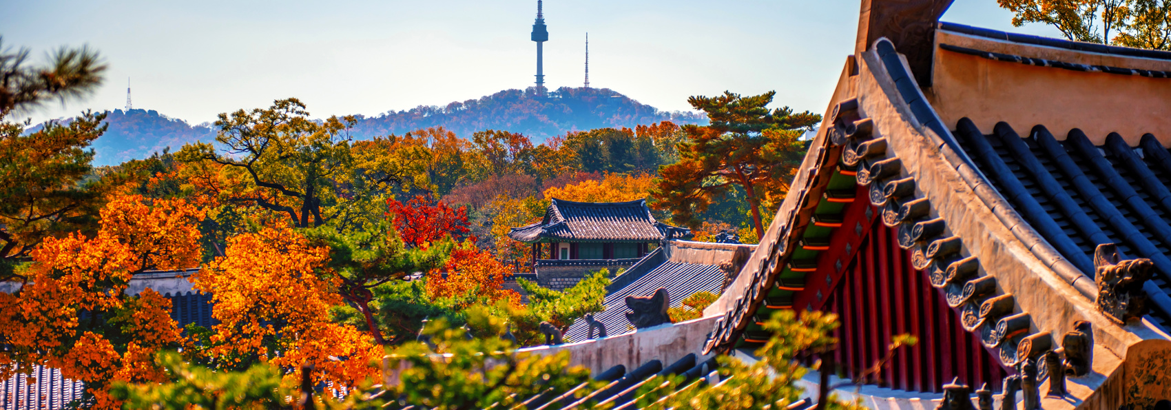 Seoul Gettyimages 2221446079