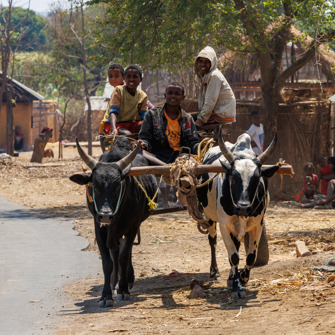 Madagaskar 0632