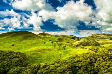 new zealand - golden bay_green hills_01