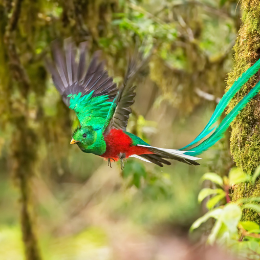 Vi lægger efterfølgende til ved Puerto Quetzal i guatemala