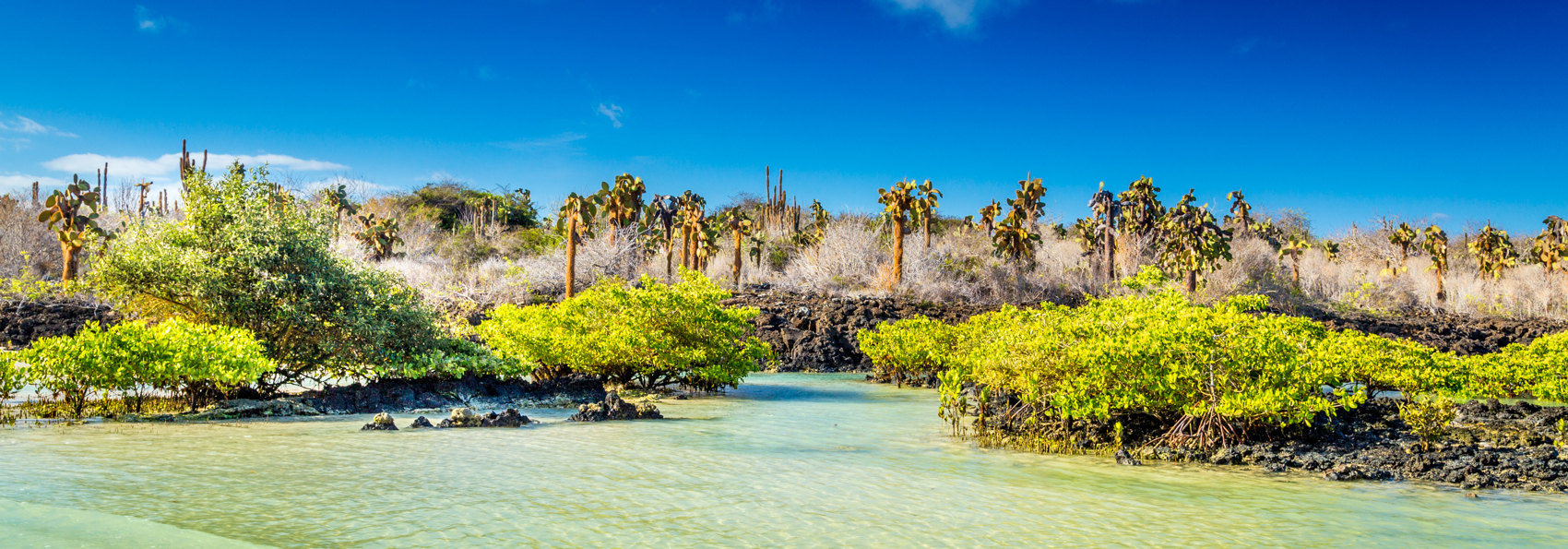 galapagos_landskab_08