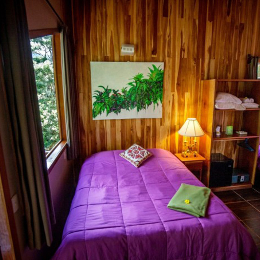 costa rica - Monteverde - cala lodge standard_02