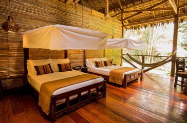 Two King Beds2