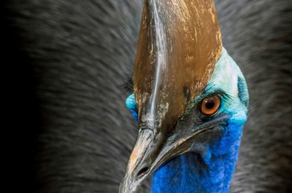 David Clode Hgucydiwpfm Unsplash