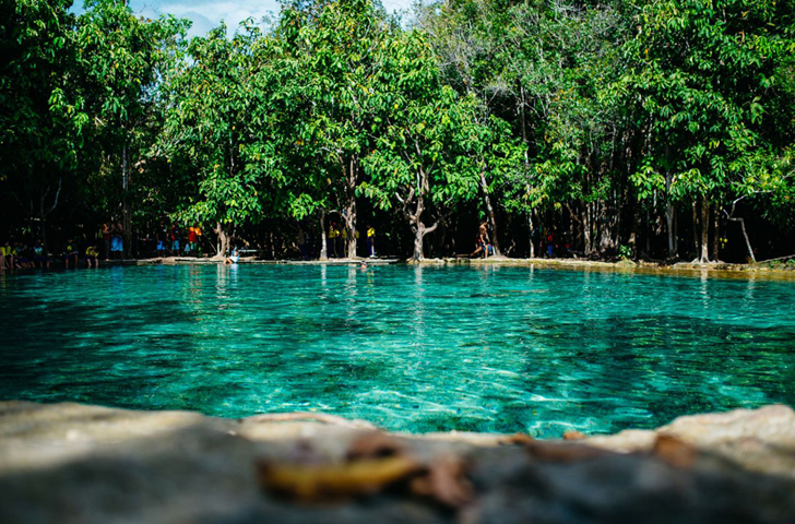thailand - krabi_udflugt_hotsprings tiger_01