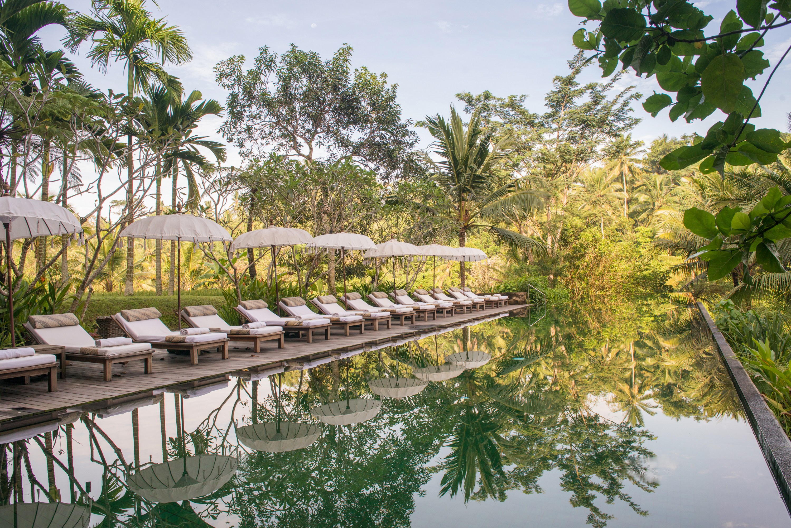 bali - komaneka bisma_pool_04