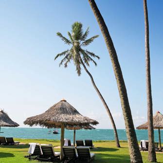 Strand Parasol