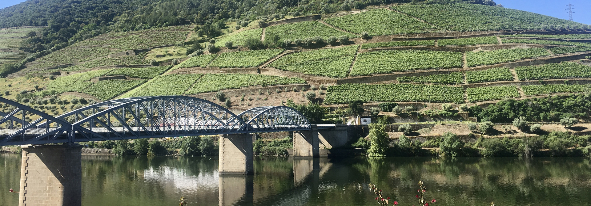 Pinhão_Douro Dalen_01