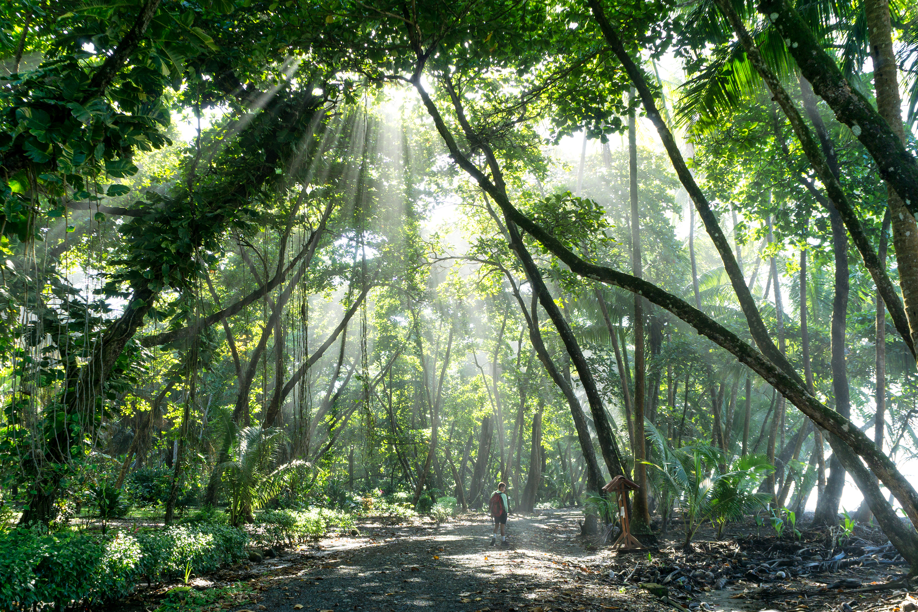 costa rica - corcovado national park_05