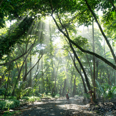 costa rica - corcovado national park_05