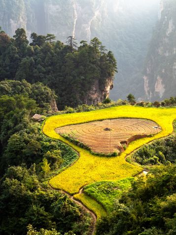 En isoleret sandstenssøjle i Zhangjiajies dramatiske bjerglandskab