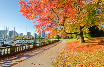 canada - vancouver_stanley park_03