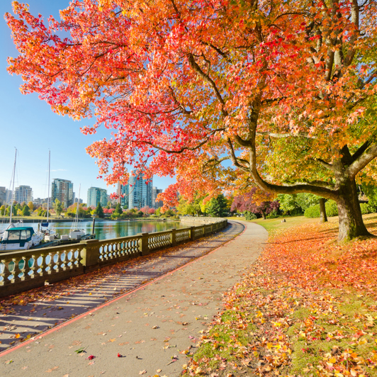 Stanley Park, Vancouver