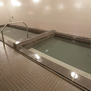 Daiwa Roynet Hotel Tokyo Osaki Onsen