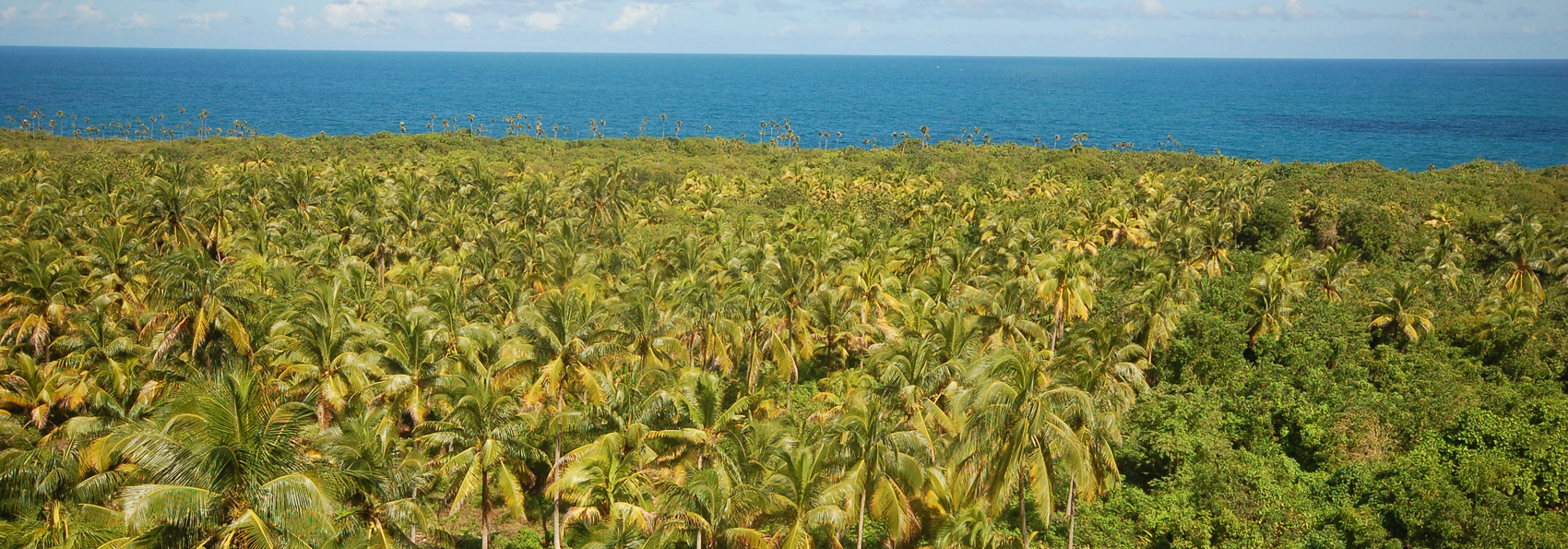 cuba - baracoa_alejandro de humboldt national park_03