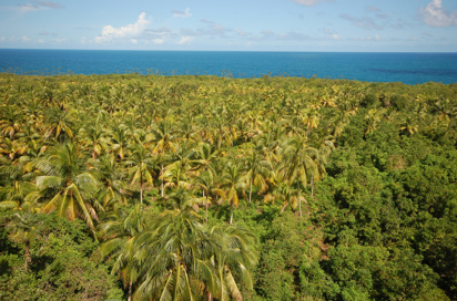 cuba - baracoa_alejandro de humboldt national park_03