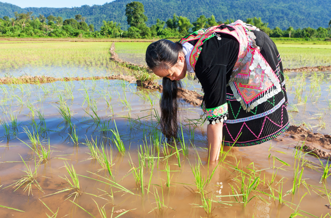 laos - laos_befolkning_hmong kvinde_02